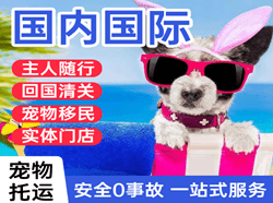 莎车叶尔羌机场物流国际宠物托运 【国